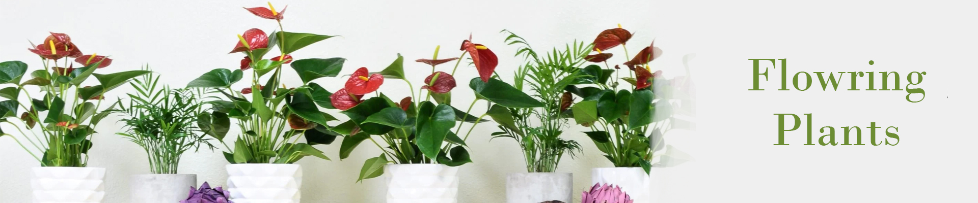 Flowerplants
