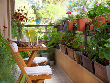 Plantsforbalcony