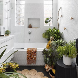 Plants for Bathroom