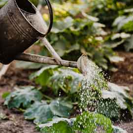 Gardening Tools